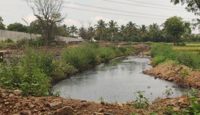 மாங்கூழ் தொழிற்சாலைகள்