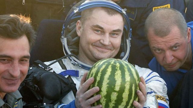 رائد الفضاء الروسي أليكسي أوفيشينين يحمل بطيخة فور هبوطه من رحلته الفضائية عام 2016