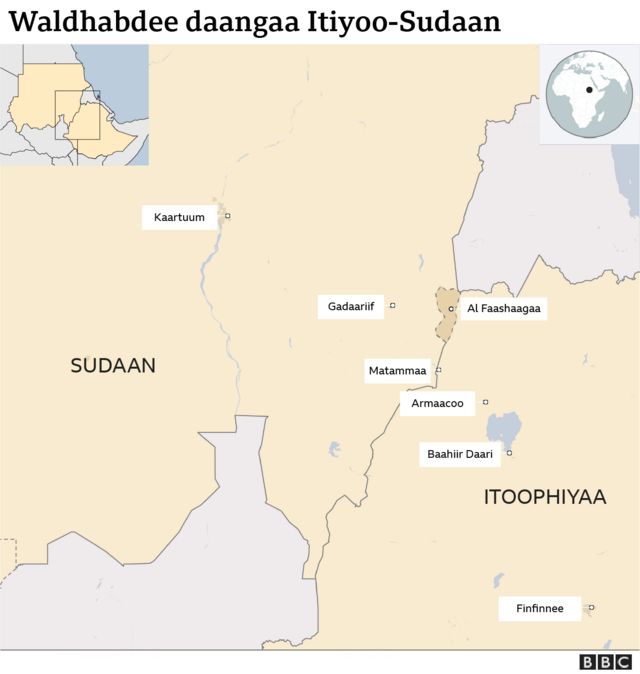 Itoophiyaan jaarsummaa Sudaanitti akka hin amanne ibsite - BBC
