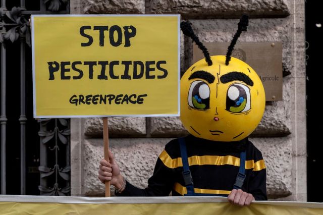 Una persona vestida de abeja con un cartel