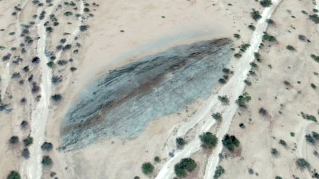 Dinossauros da América do Sul: o gigante com crista de espinhos descoberto  na Argentina - BBC News Brasil