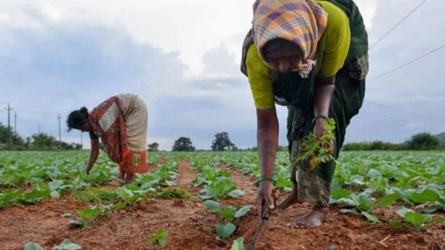 விவசாயிகள்