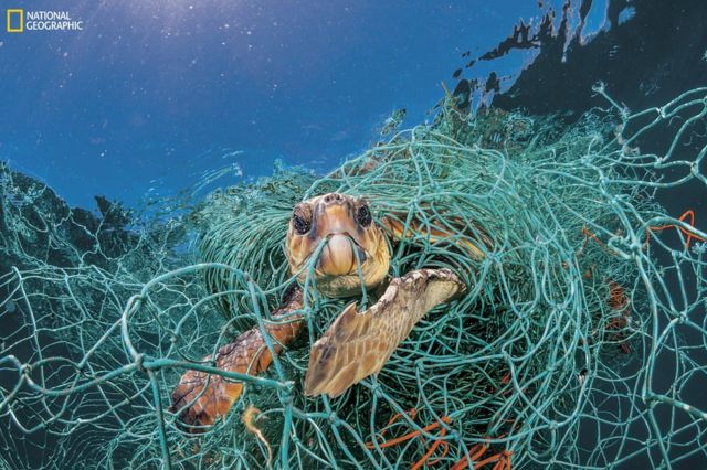 プラスチック汚染 写真で見る国際公害問題 cニュース