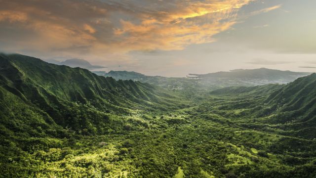 Hawái