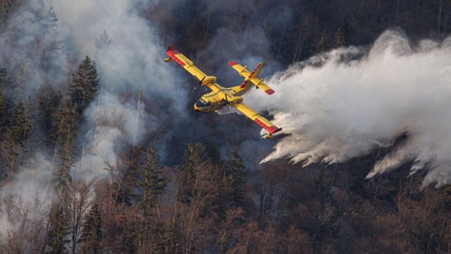 Mart ayında Slovenya'da orman yangınıyla mücadele eden bir uçak