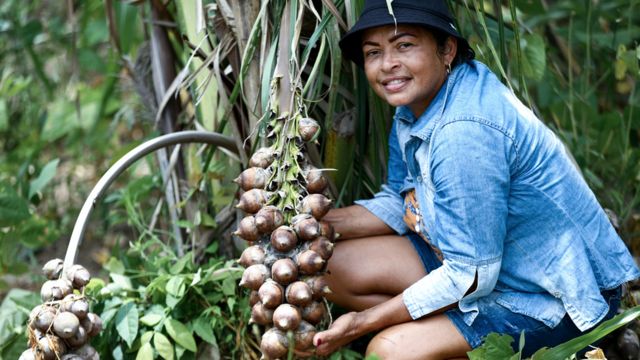 Quebradeira de coco no Maranhão