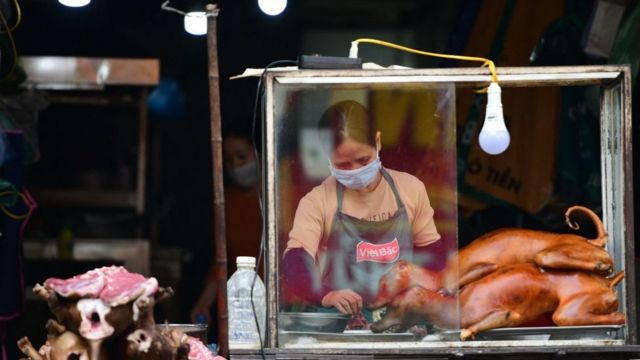 Theo Four Paws thì tại Việt Nam 88% công chúng ủng hộ chính phủ ban hành lệnh cấm buôn bán thịt chó, mèo