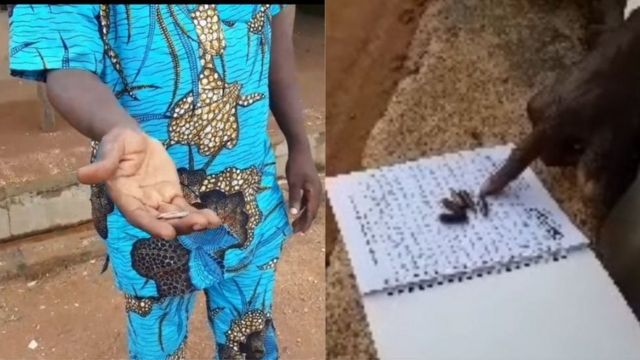 Ọta ibọn ologun