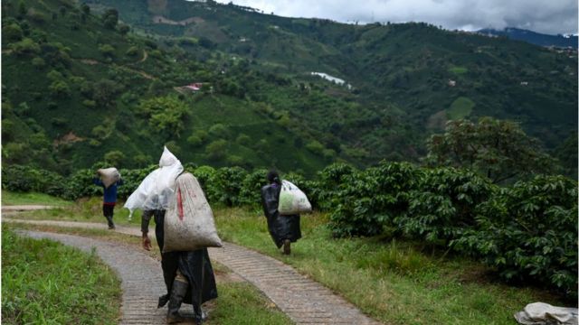 Campesinos en América Latina.