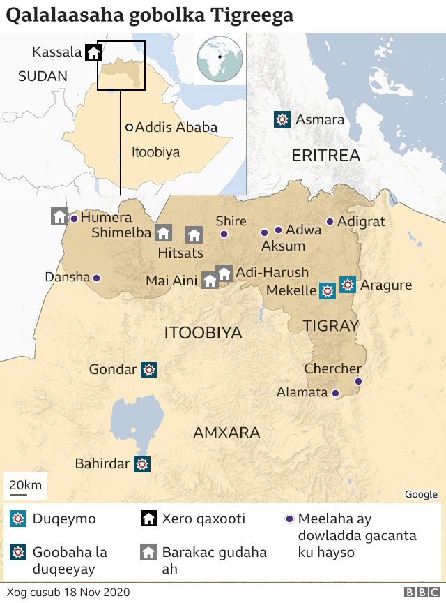 Tigray