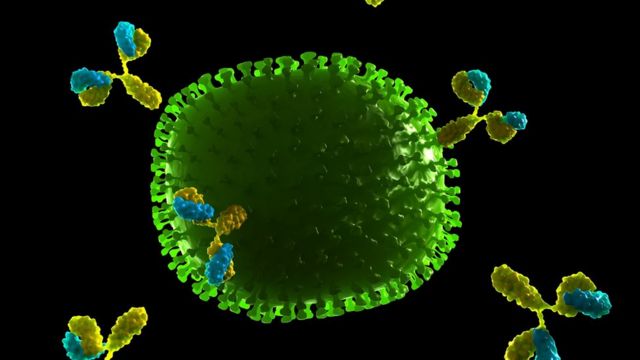 Imagem de anticorpos atacando o vírus da gripe