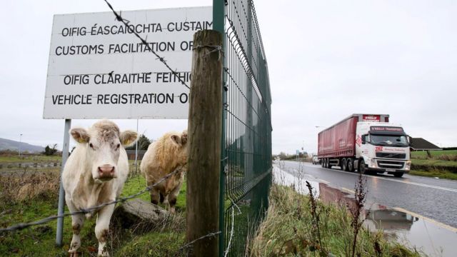 Cows under a sign at a disused Irish border vehicle registration and customs facilitation office outside Dundalk