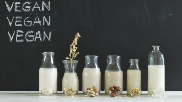 Distintos tipos de leche vegana