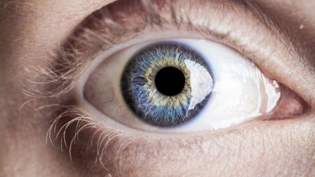 Novos tratamentos dão esperança a pacientes com deficiência visual