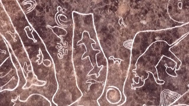 失われた文明の痕跡？ 岩に刻まれた絵、サメやクジラも インド - BBC