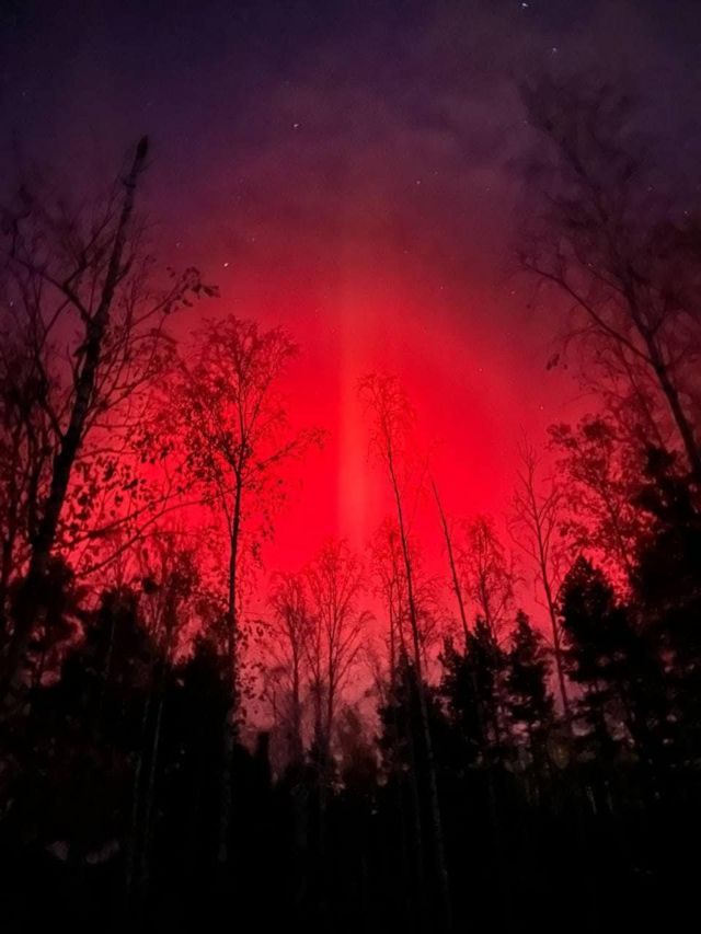 буча