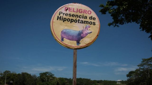 A road sign in Puerto Triunfo alerting locals to the presence of hippos in the wild