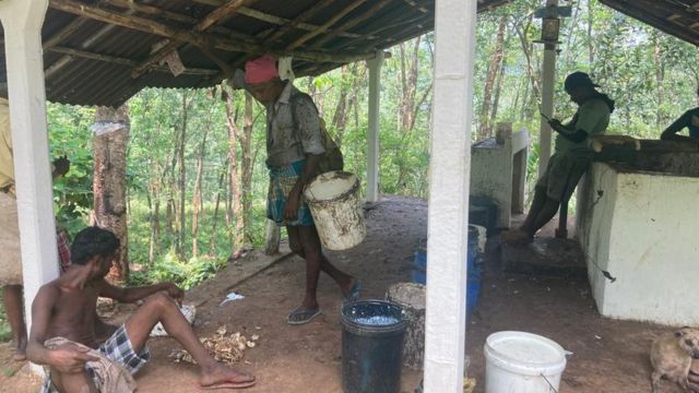 இலங்கையில் முற்றும் நெருக்கடி: மலையகத் தொழிலாளர்களின் நிலை என்ன?