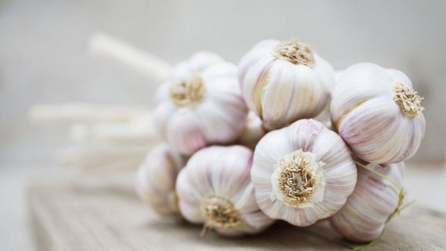 garlic