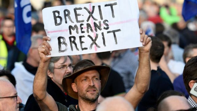 Плакат "Брексит значит брексит" у демонстранта-евроскептика в Лондоне 29 марта 2019 года