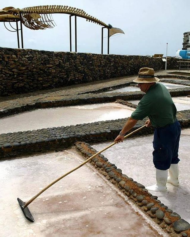 homem retirando água de área de encalhe de baleias