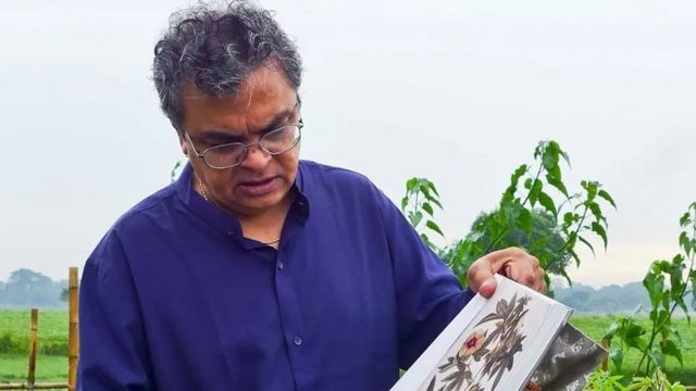 Les plants de coton phuti karpas ressuscités sont identiques à ceux utilisés pour la culture de la mousseline de Dacca il y a des centaines d'années.