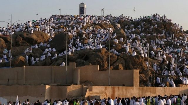 Muslim pilgrim join one of the Hajj rituals on Mount Arafat near Mecca (11 September 2016)
