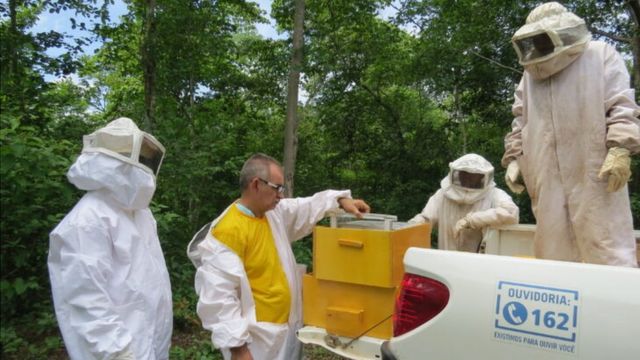 Apicultores de cooperativa de mel do município de Piracuruca, no Piauí