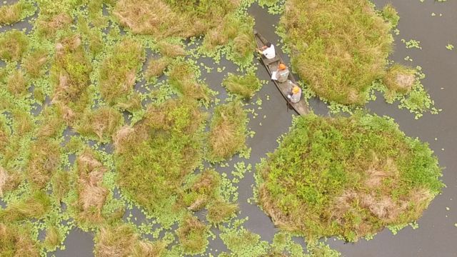 Amazonía peruana.