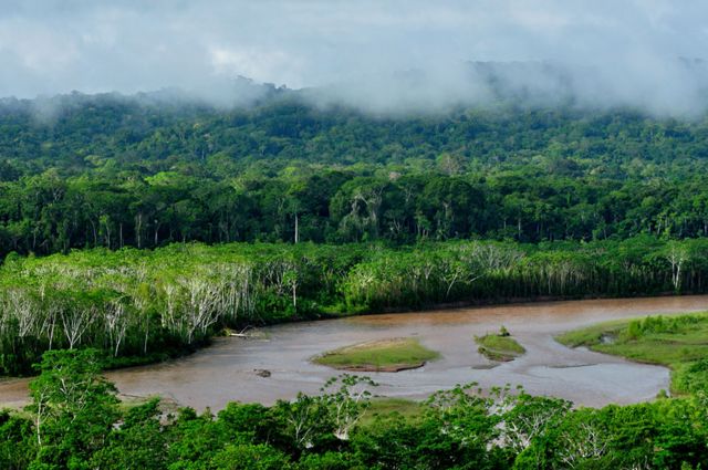 Parque Nacional Madidi (Foto: Dirk Embert/WWF/WIKIMEDIA COMMONS)