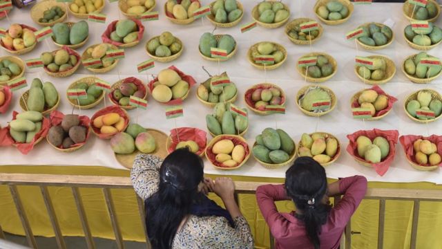 Frutas com Caroço em Inglês Americano e Inglês Britânico