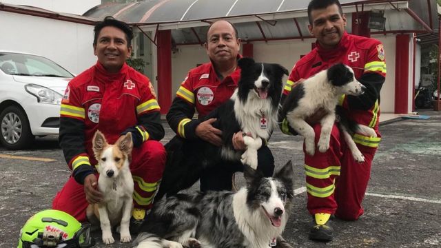 Varios miembros del equipo canino de la Cruz Roja en Querétaro