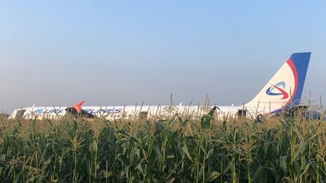 Летчики решили не маневрировать и посадили самолет на кукурузное поле