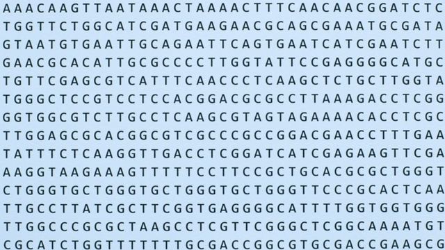 Secuencias de nucleótidos de ADN.