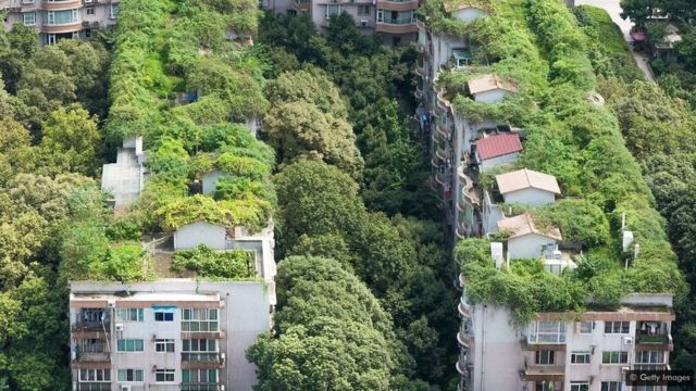 A vegetação ajuda a manter cidades como Chengdu, na China, frescas durante o verão