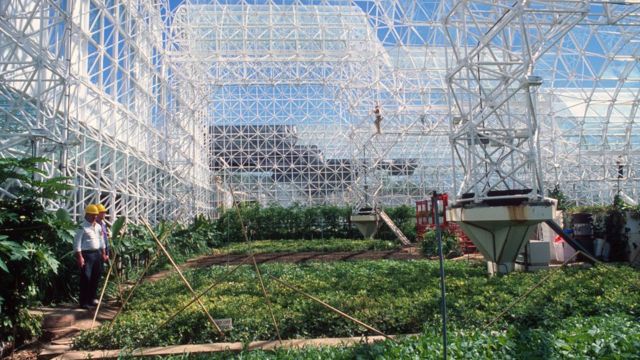Zona de agricultura de Biosfera 2.