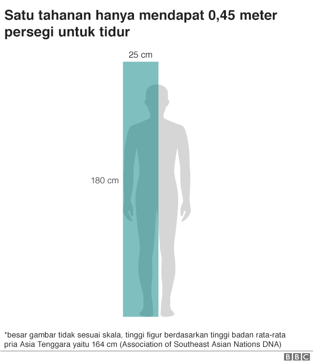 Perbandingan ruang hidup dalam sel dengan ukuran tubuh