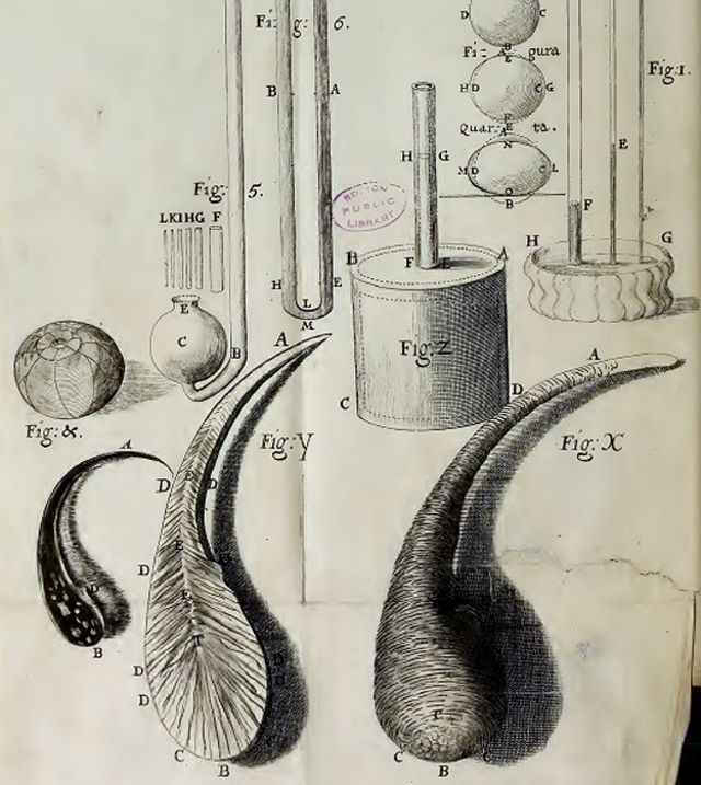 Dibujos de los experimentos de la Royal Society de Londres.