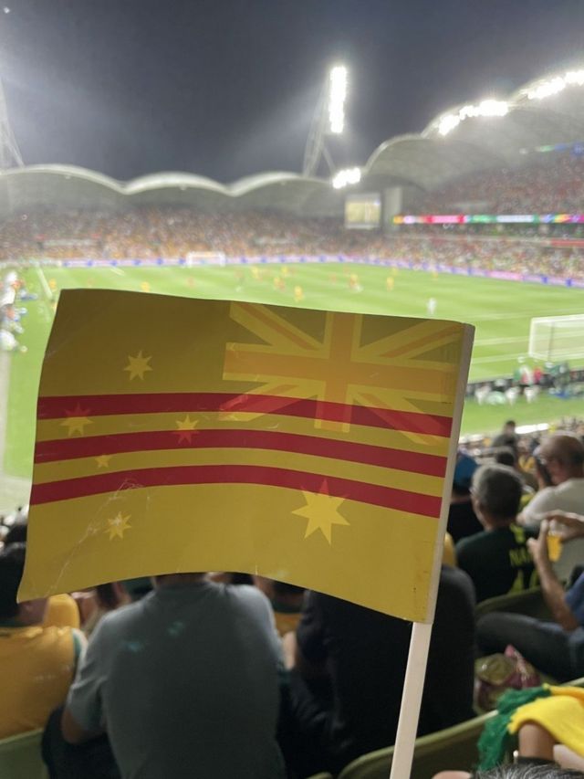 Những vật có biểu tượng cờ Vàng như cờ, nón, áo, khăn quàng bị những người kiểm soát sân đấu ở Úc ngăn không cho mang vào