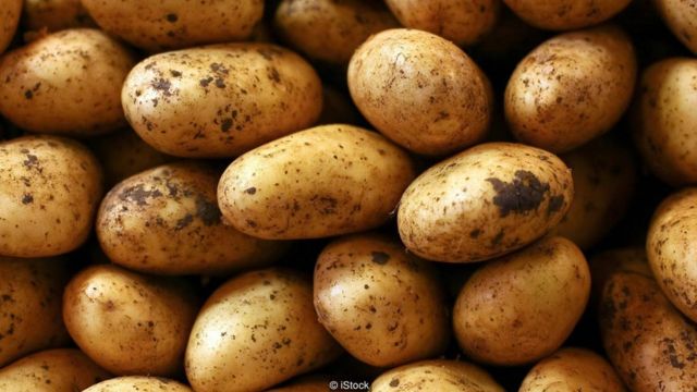 Dapatkah Anda bertahan hidup dengan hanya satu jenis makanan?  BBC