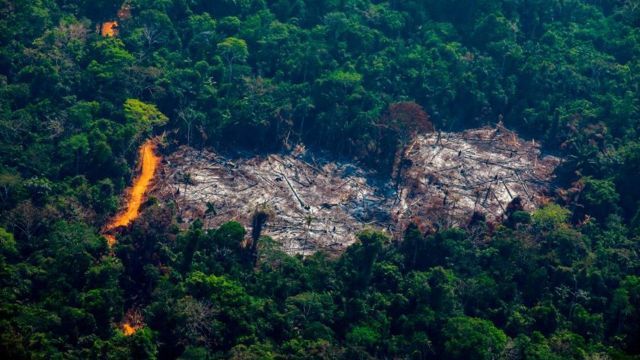 COP26：各国领导人承诺到2030年停止砍伐森林(photo:BBC)