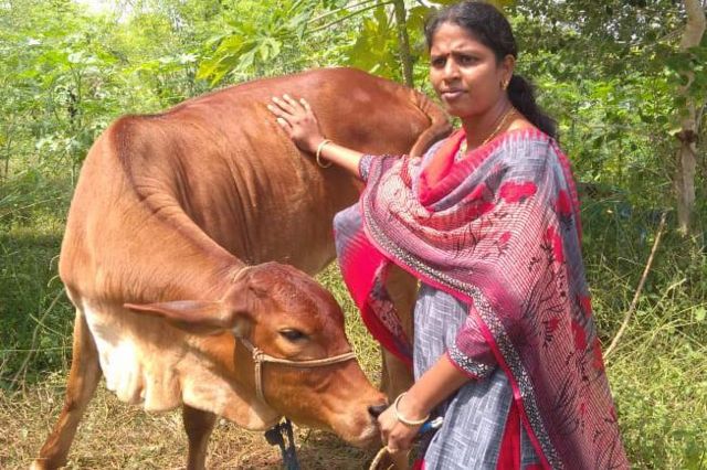 இயற்கை விவசாயத்தில் சாதிக்கும் பட்டதாரி பெண்