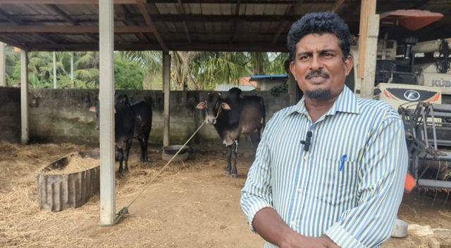 இலங்கை ஜல்லிக்கட்டு