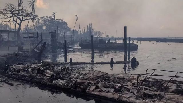 Paisagem escura retrata destruio de incndios prximo ao mar