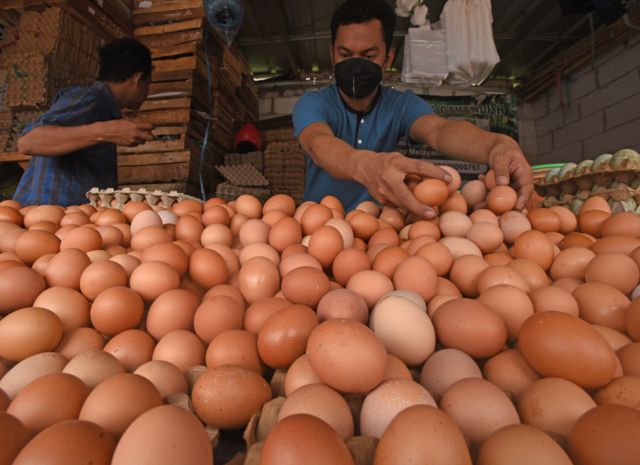 Pedagang memilih telur ayam di Pasar Lama Kota Serang, Banten, Senin (22/08). Harga telur ayam naik menjadi Rp32 ribu per kilogram.