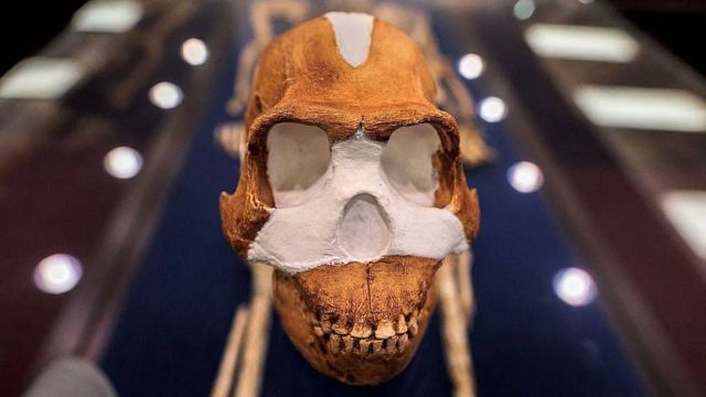 Cráneo de H. naledi