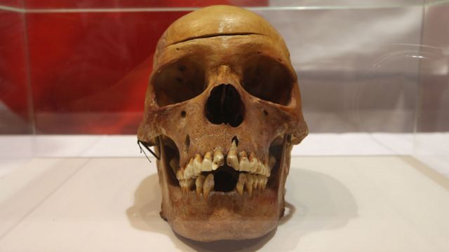 Uno de los cráneos de una víctima Herero que fueron devueltos por Alemania a Namibia en 2011