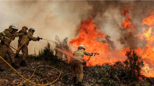بالصور: حرائق غابات البرتغال - BBC News عربي
