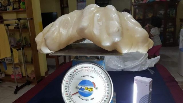 Perla gigante de 34 kilos expuesta en Puerto Princesa