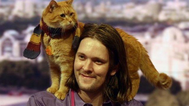 ボブという名の猫」のボブが死亡 「少なくとも14歳」 - BBCニュース